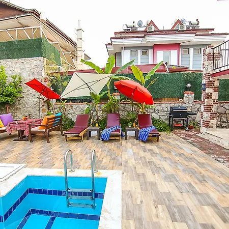 ılk Ayvilla1