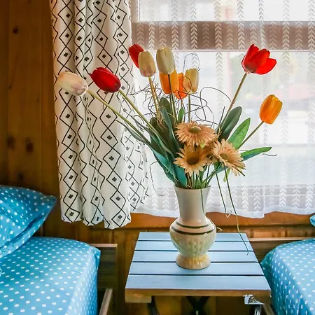 Villa Ilk Ayvilla1 Fethiye