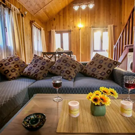 Villa Ilk Ayvilla1